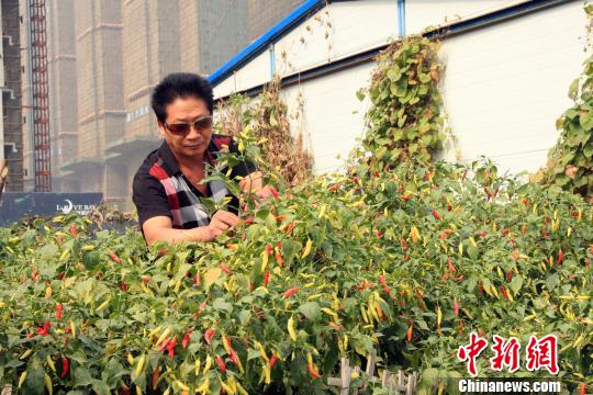 中国吃蒜人口_中国是全球最大产蒜国,却不是最爱吃蒜的国家,这国家年吃8000吨