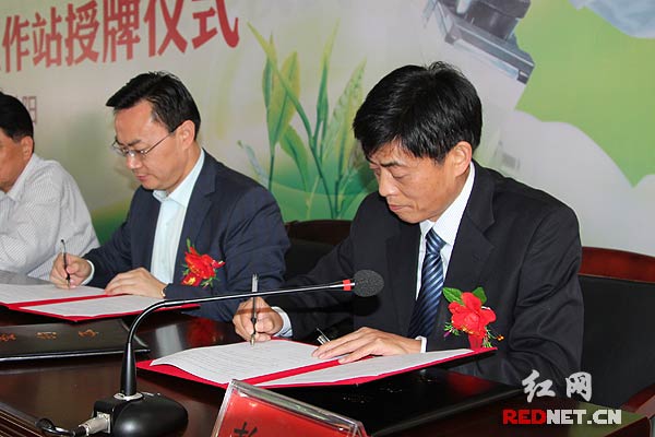 湖南农业大学茶学博士科研工作站落户益阳茶厂
