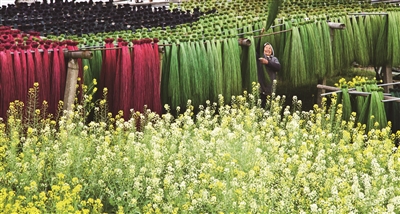 农村环境连片整治,为美丽江苏增添华彩|环境保