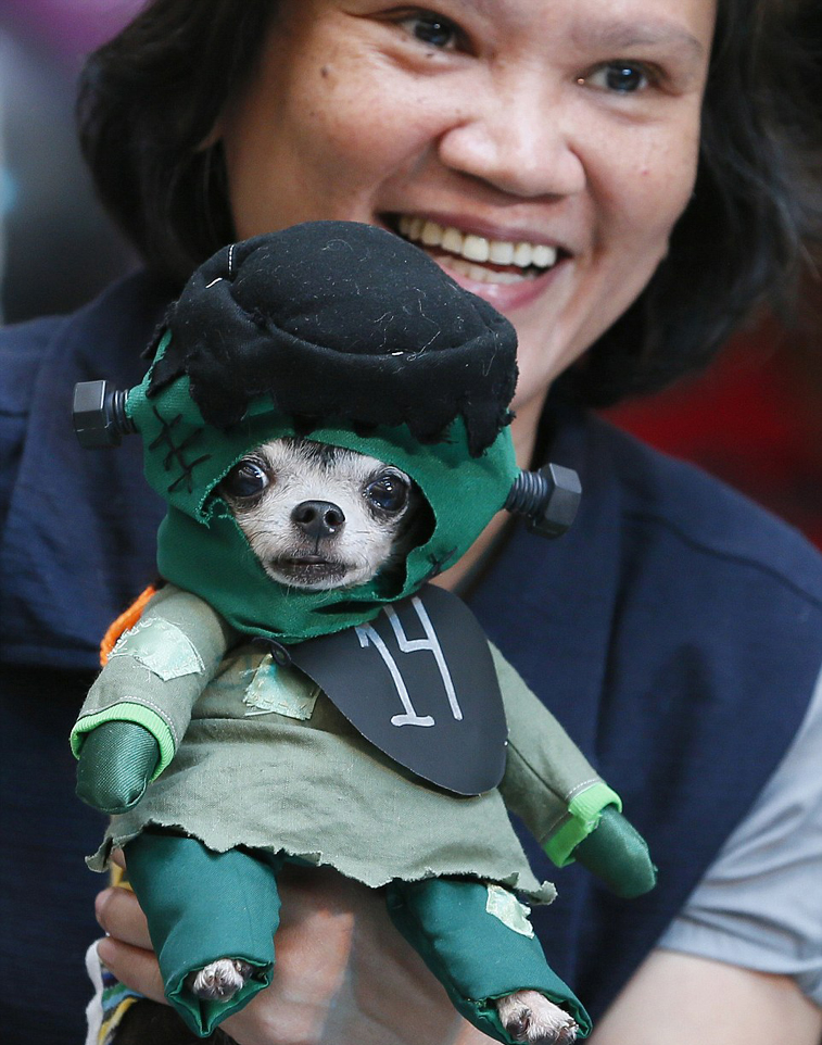 菲律宾办宠物狗时装秀 狗狗扮怪兽迎万圣节(组