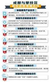 成都牵手攀枝花 或共建至东南亚高铁|成昆|医保