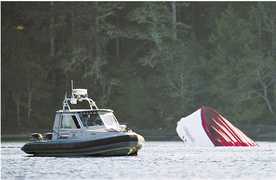 加拿大观鲸船翻沉|官员|翻沉|加拿大