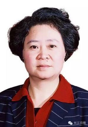 开 盘点中央委员中的18张湖北面孔|周强|最高人