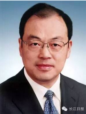 开 盘点中央委员中的18张湖北面孔|周强|最高人