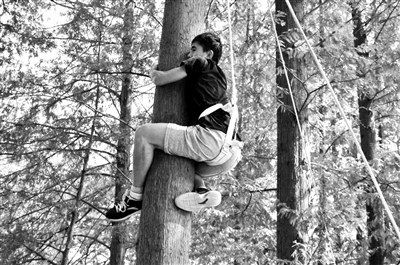 南理工海选爬树高手 8米高水杉最快20秒到顶|