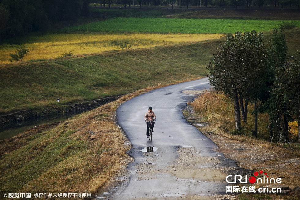 师拍摄平壤街头百姓生活 体会朝鲜社会变迁(高