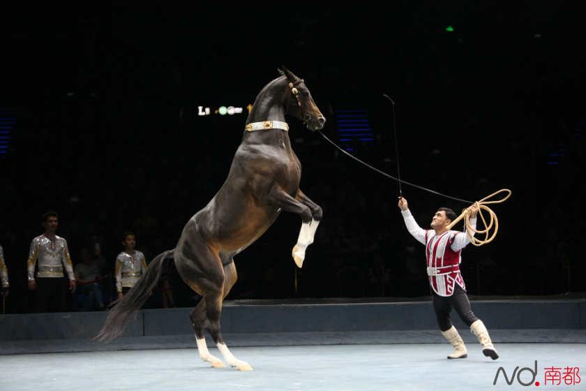 30支全球顶级马戏团珠海比武 汗血宝马亮相