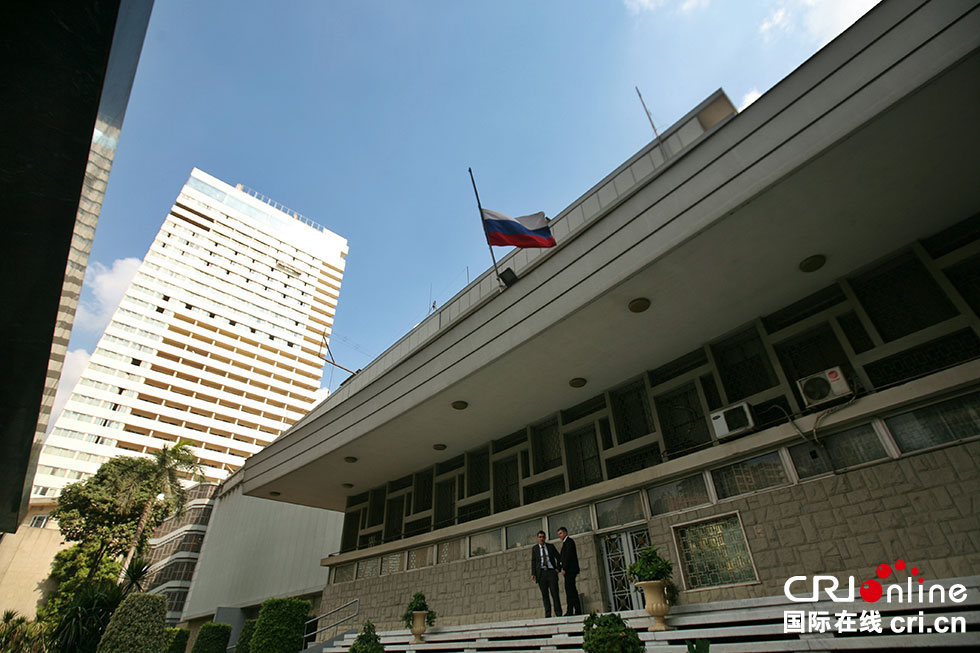 俄罗斯驻埃及大使:空难调查不存在谁领导谁的