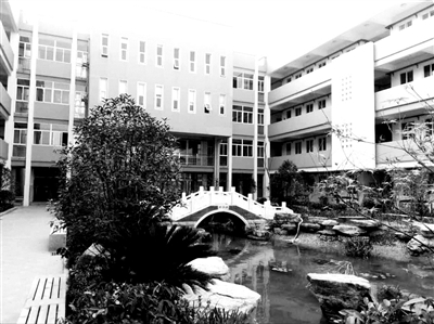 摄山星城小学 打造园林式校园|小学|孩子|摄山