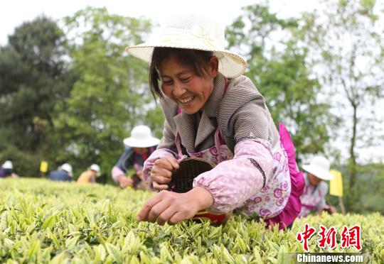 陈锡文:农村改革综合性方案不影响已出台其他