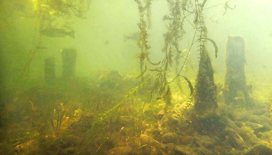 日本滋贺县琵琶湖底现江户时期遗址(组图)|滑坡