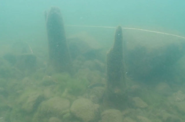 日本滋贺县琵琶湖底现江户时期遗址(组图)|滑坡