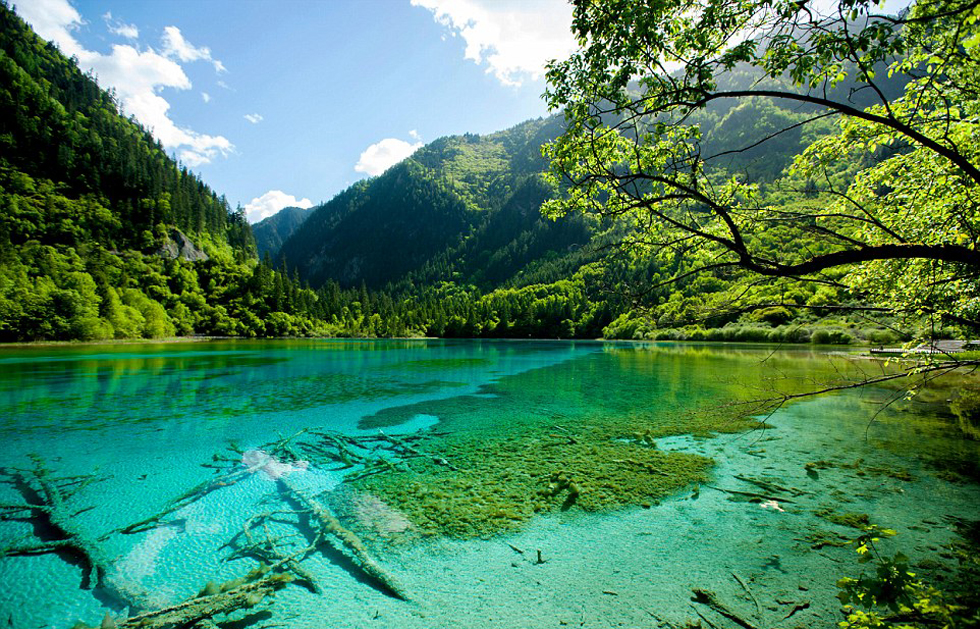 外媒:你可知外国人眼中的中国极致美景?