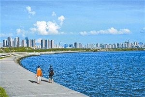滨海宝安将开发45公里海岸带|资源|宝安|滨海