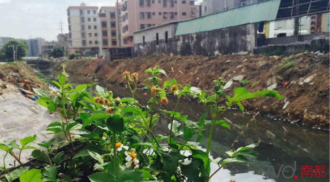 追踪:惠州小金口血河事件11家宝石染色厂被