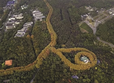 林荫大道由南变北,盘道采用单行线 美龄宫项链