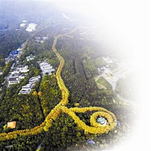 南京美龄宫航拍图 被赞最美项链|国民政府主