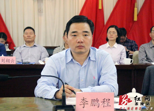 茶陵县召开2015年度人大代表评议一府两院专