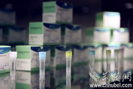 宜昌中小企业藏潜力 工业经济发展后劲十足|空