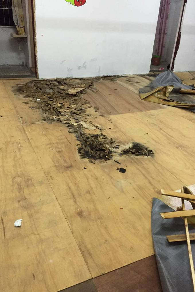深圳一幼儿园让孩子睡发霉地板 身下蟑螂白蚁