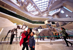 重庆自然博物馆新馆免费开放了|李文彬|新馆|免