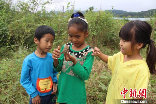 叔叔架网捕鸟 8岁侄女报警救鸟(图)|小鸟|民警|小