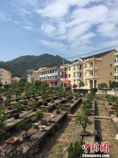 生态留人古城乡村焕新颜 浙江临海以民宿塑乡