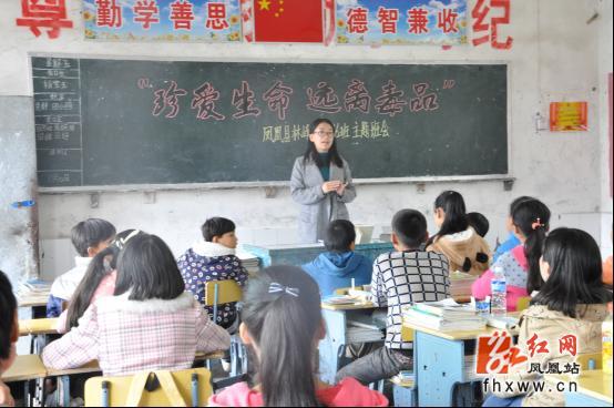 凤凰林峰学区700师生接种禁毒知识|禁毒|林峰