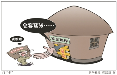 卖一次粮要给五百元好处费|办公厅|政府|粮食