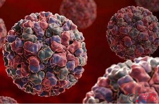 市妇幼诺如病毒暴发?院方:仅少量散发病例|疫情