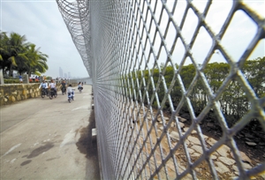代表委员昨现场调研深圳湾铁丝网|争议|铁丝网