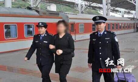 一传销女头目境外返湘投案 涉案2亿多|头目|涉