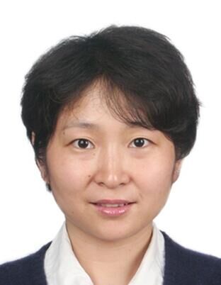 董文琪:借乡镇调整来培养基层青年干部