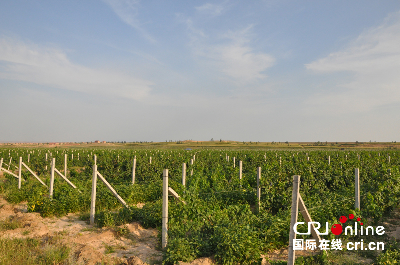 黄土地上的开拓者:从渠口太阳梁看宁夏农垦(组