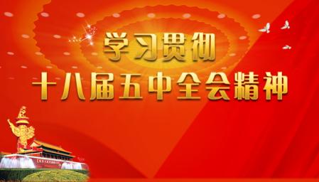 湖北召开现场会 落实五中全会精神推动城市绿