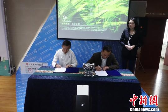 青海青年创业项目青稞茶饮项目获千万元风投融