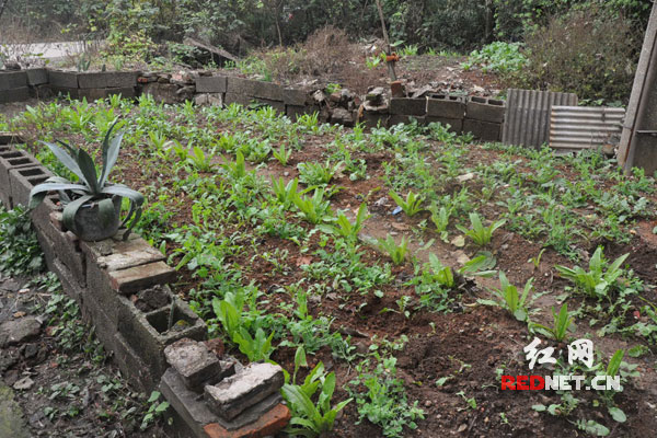 湘潭副市长杨真平:新的开端 加强水源管理与污