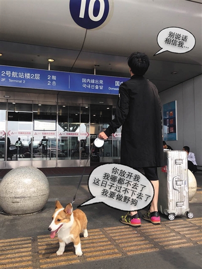 段子手薛之谦,对于赚钱这事儿毫不掩饰|薛之