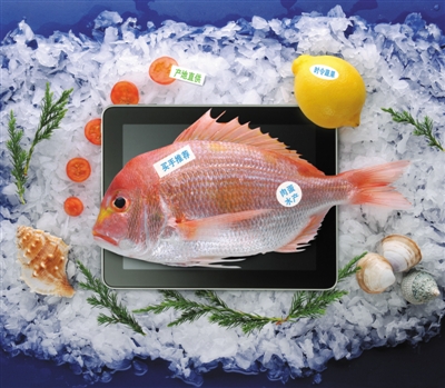 水果采购、分拣、发货 批发市场全包办|资源|生