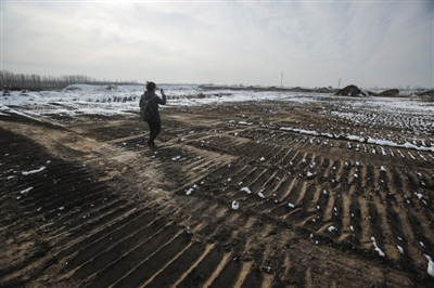 昨日，通州崔各庄村，此前堆积在地面的渣土山，已被推平。