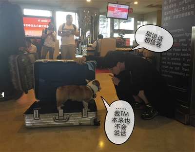 段子手薛之谦,对于赚钱这事儿毫不掩饰|薛之