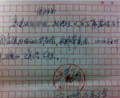 江苏丰县法院回应公章保证书:涉事法官已被停