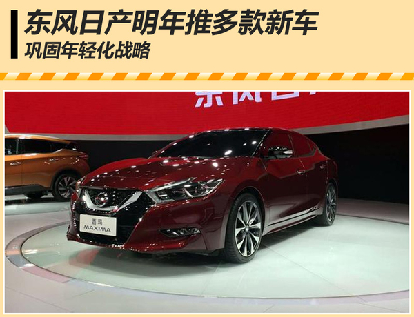 东风日产明年推多款新车 巩固年轻化战略