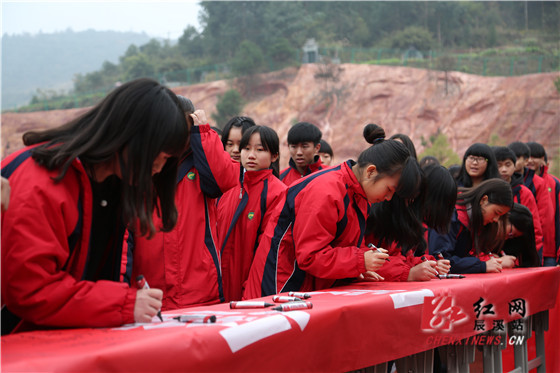 辰溪县启动青少年普法教育活动|青少年|教育|活