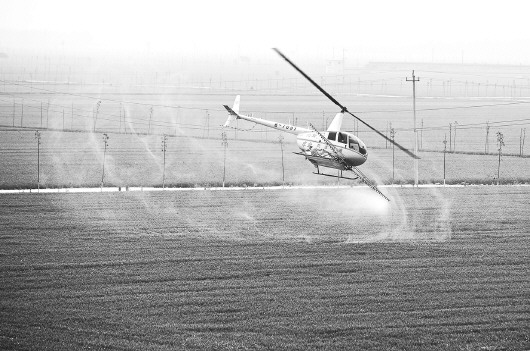完善通用航空立法确立国家扶持政策|环境保护