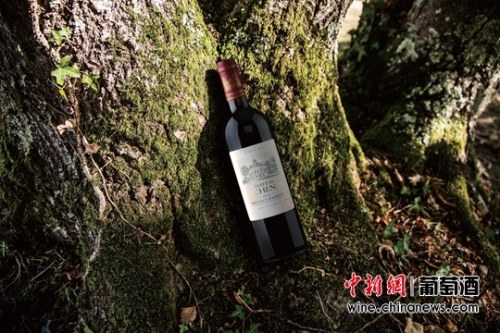 苔思藤畔蜜合花开张裕进军波尔多(图)|张裕|波视频鹏鹏音乐图片