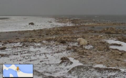 谷歌地图帮助网民足不出户见证气候变化影响|