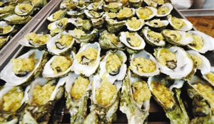 沙井蚝飘香 又到吃蚝时|政府|沙井|宝安区