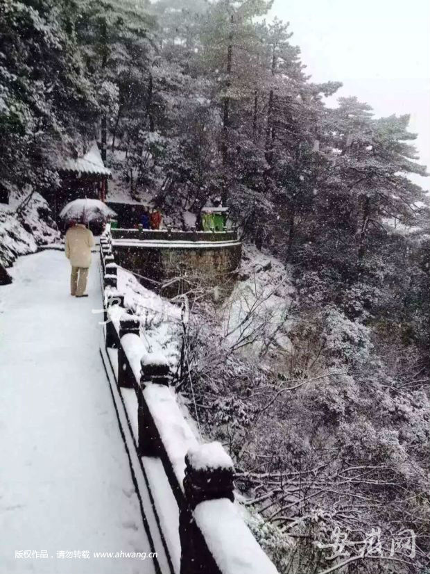 九华山飘落2015年入冬第一场景|九华山|景区|安