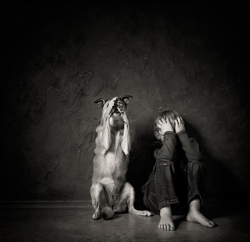 摄影作品记录儿童与动物温情互动时刻(高清组